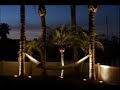 Outdoor  landscape Lighting