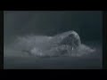 Stupor - Homo exterior