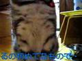 ふくろうくん