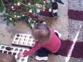 Decorating the Christmas tree