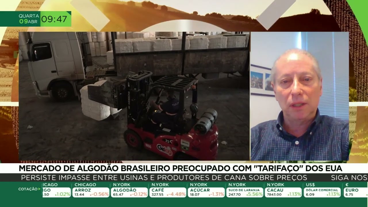 Mercado de algodão brasileiro preocupado com "tarifaço" dos EUA