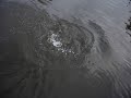 Pantanosso pescaria de Tra�ra na artificial