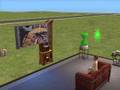 Kid watches Gomu Gomu no Storm in Sims