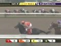 FAIR GROUNDS, 2009-11-22, Race 2