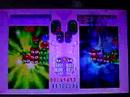 puyo pop fever oshare bones vs ms accord