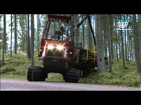 047626800 - Terri 34, forwarder.