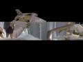 Runescape - Massive GodWars Trips