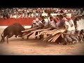 Aldeia da Ponte - Capeia Arraiana 2007 (Intro DVD)