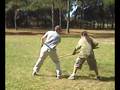 videos de Thieves Guilde - Audition Fight 08_10-19 - Andy and Wolf
