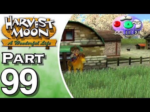 how to equip wonderfuls harvest moon