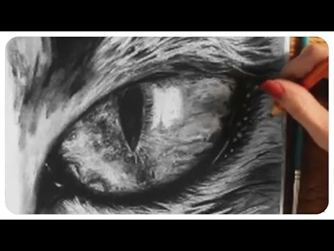 how to draw realistic a cat