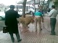 شستن شیر در پیاده رو در ایران
