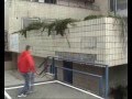 LeParkour Michalovce