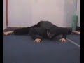 martial arts