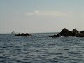 Brest La rade,Crozon,Camaret