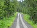 2008 Alaska (Black Bear)