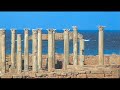 More from Libya