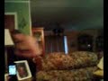 big jess grider dancing in ellettsville, in