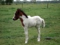 My Lil\