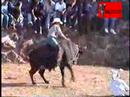 JARIPEO EN MATUJEO MICHOACAN