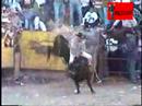 JARIPEO EN MATUJEO MICHOACAN