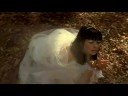 Wandering Fairy