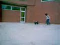 porrazo en cabeza