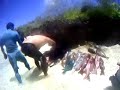 Ile des Pins2 - Très bonne pêche.mp4