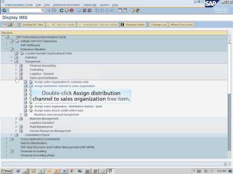 how to define sales organization in sap