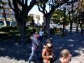 videos de Garda lake masti