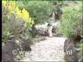 botanische tuin Viera y Clavijo gran canaria canarische