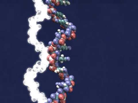 how to measure dna