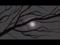 Quailbones The Day Ben Kingsley Sailed Away Official Music Video and Lyrics