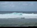 Ehukai - Hawaii
