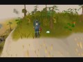 Runescape random event (Quiz master show) 0015
