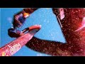 Spearfishing Pescasub Dentice 7,8 chili Spearfishing Pescasub Dentice 7,8 chili