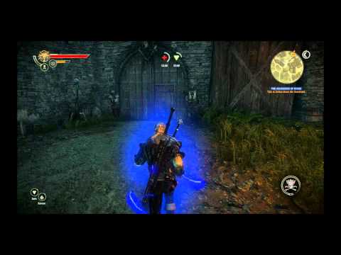 The Witcher 2 : Assassins of Kings