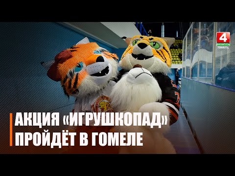 7 января в Ледовом дворце начнётся «Игрушкопад» видео