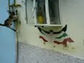 piinche eriik!! piinche eriik!!