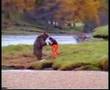 bear-commercial