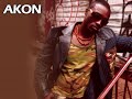 Party Animal - Akon
