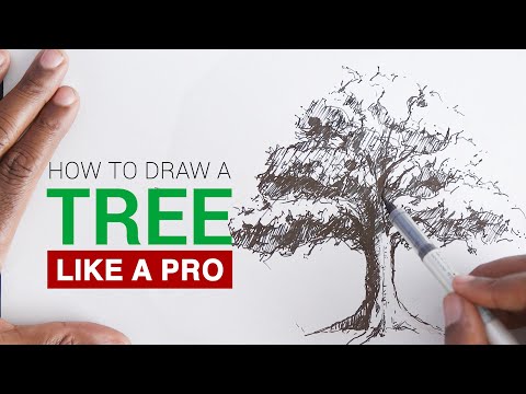 video-linktoworks-How to draw a realistic tree for beginners - YouTube