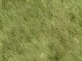 quinton highlights