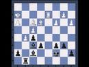 This is part 2 (of 2) of my win over my good friend Expert Daniel Berman (2134) at the Santa Monica Bay Chess Club Quads in September 2007. I was rated 1761 at the time, and this win in round 1 helped me tie for first place in the top quad.p.s. I've written three chess books: 