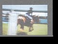 elegance, finesse, style: equitation.