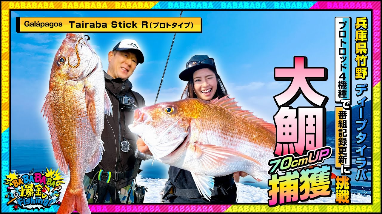 Tairaba StickR | Galápagos(ガラパゴス)公式 | 釣り Tairaba StickR | Galápagos(ガラパゴス)公式 | 釣り