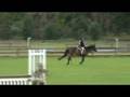Kimber and Jitterbug SEHJ/Ocala 10.25.2008