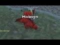 Druid and Paladin 2v2 Arena