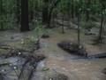 videos de Backyard Flood Plain 2