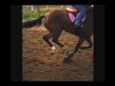 Dirt vs. Polytrack Dirt vs. Polytrack